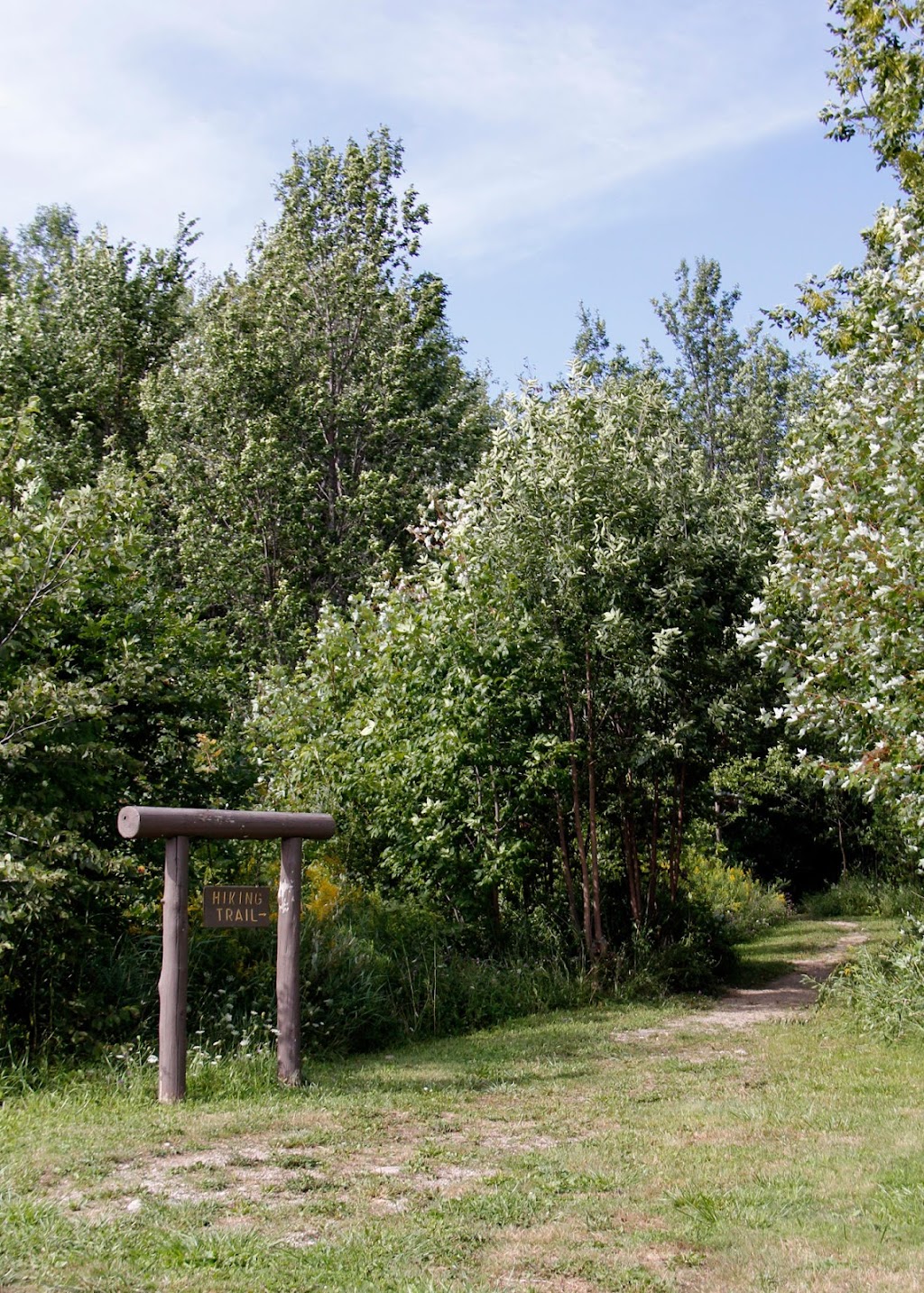 Owen Sound KOA Journey | RR 6 28th Ave E, Owen Sound, ON N4K 5N8, Canada | Phone: (833) 668-2888