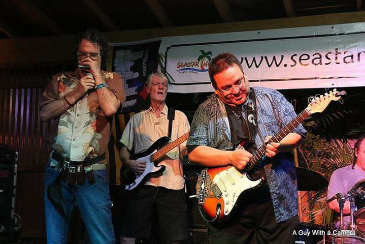 Blues South Caribbean Tours | 37 Norwich St E, Guelph, ON N1H 2G7, Canada | Phone: (519) 265-6422