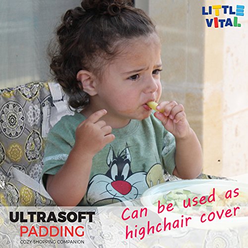 Little Vital | 1158 Rue Baillargeon, Longueuil, QC J4M 1B9, Canada | Phone: (450) 448-5585
