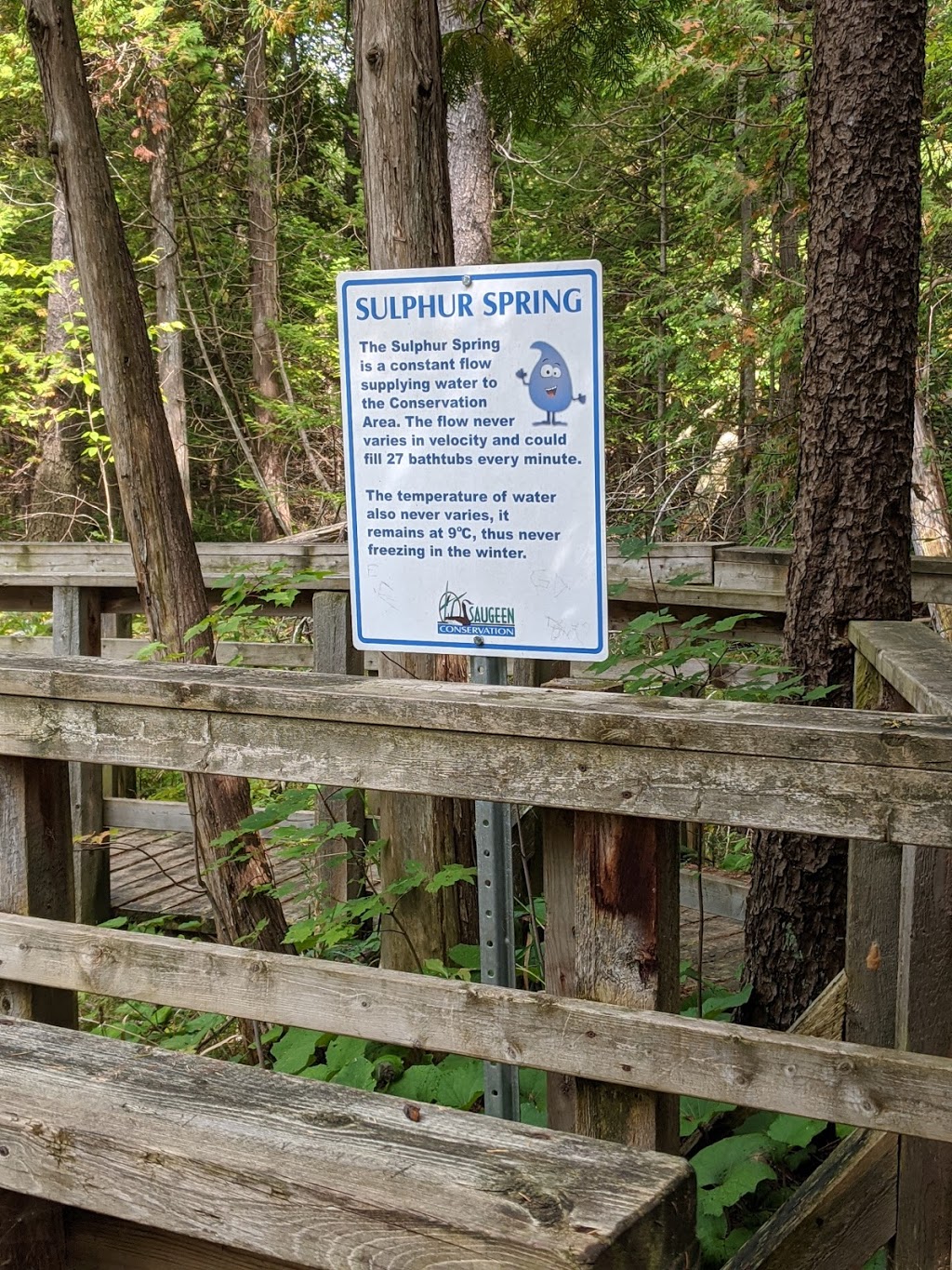Sulphur Spring Conservation Area | 261123 Grey Rd 28, Hanover, ON N4N 3B8, Canada | Phone: (519) 367-3040