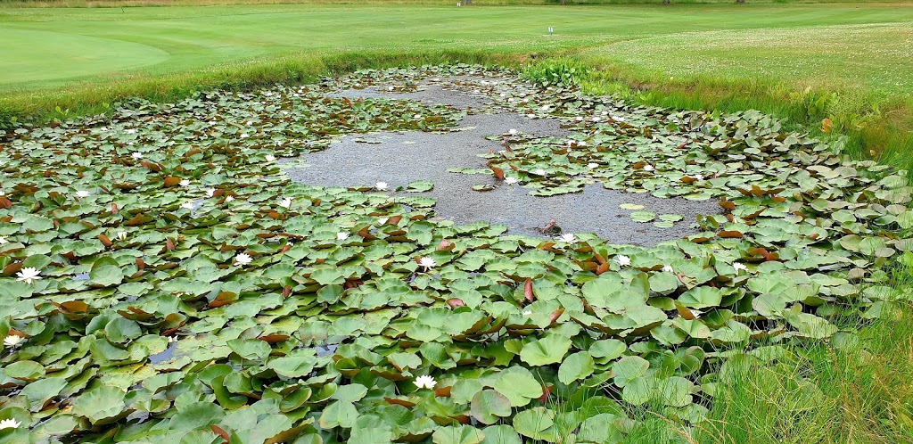 Port Dover Golf Club | 580 Lynn Valley Rd, Port Dover, ON N0A 1N2, Canada | Phone: (519) 428-9993