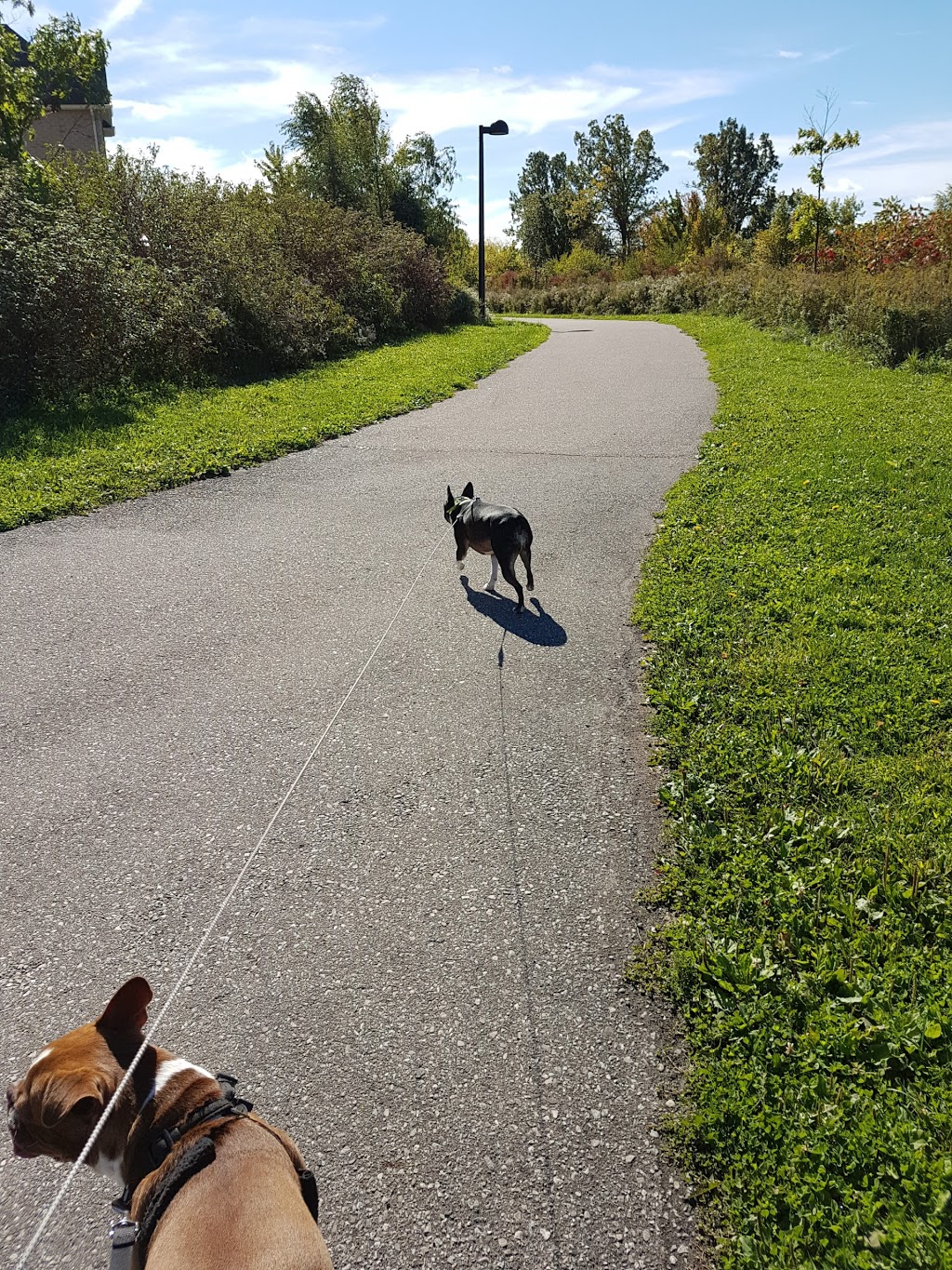 Winn Park | 655 Winn Trail, Milton, ON L9T 7R8, Canada