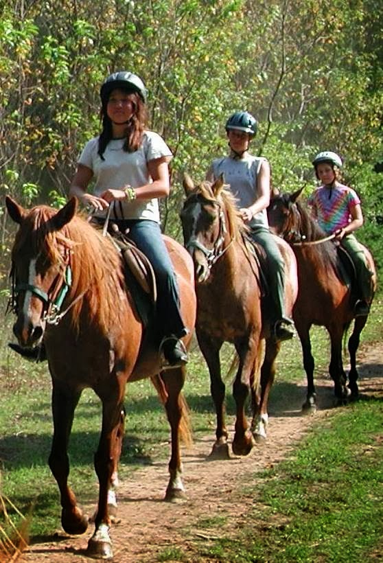 Frontier Trails Camp | 10545 ON-60, Eganville, ON K0J 1T0, Canada | Phone: (613) 625-2416