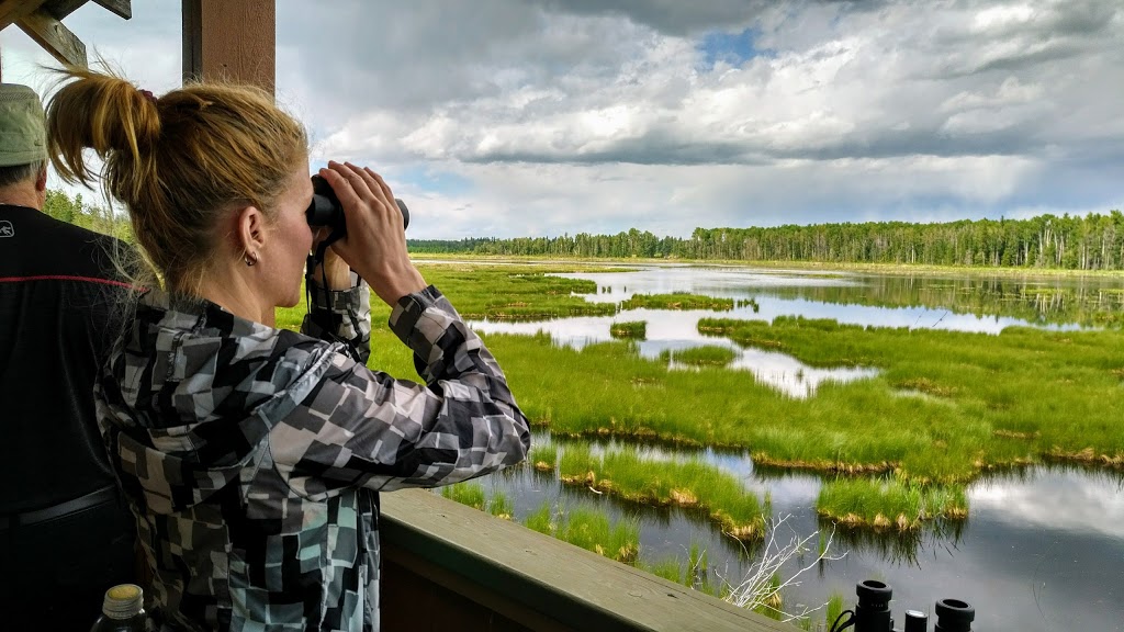 Medicine River Wildlife Centre | Box 115, Spruce View, AB T0M 1V0, Canada | Phone: (403) 728-3467