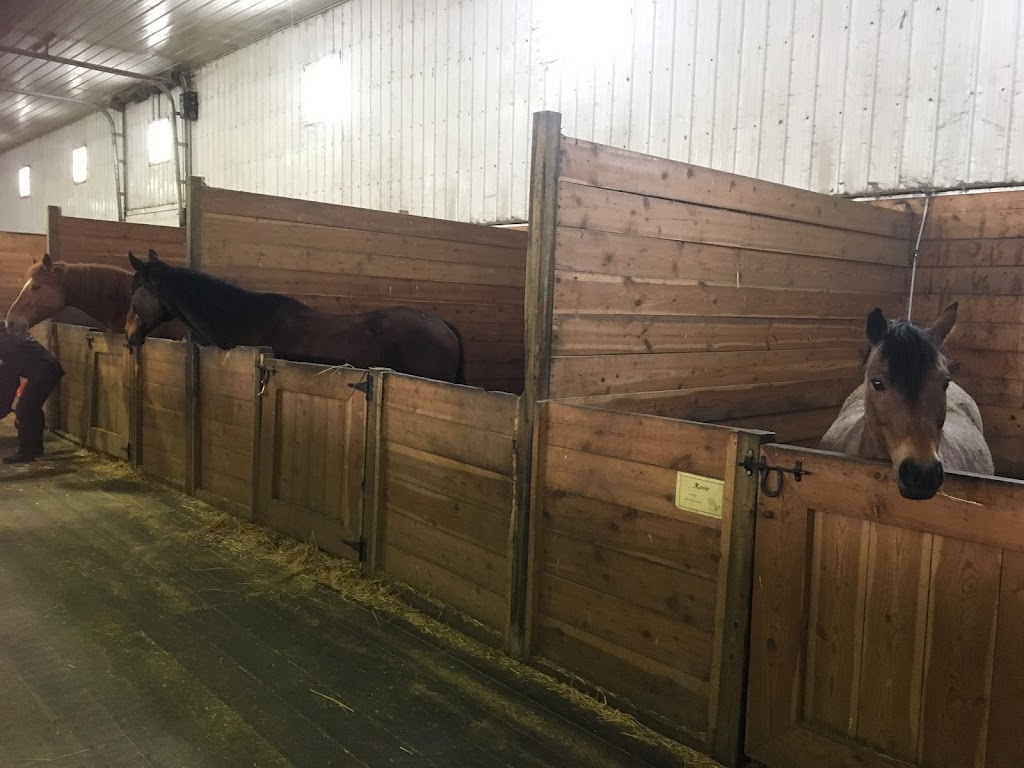 West Wind Stables | Box 402, 53086 Rd 4 E, Oak Bluff, MB R0G 1N0, Canada | Phone: (204) 736-3410