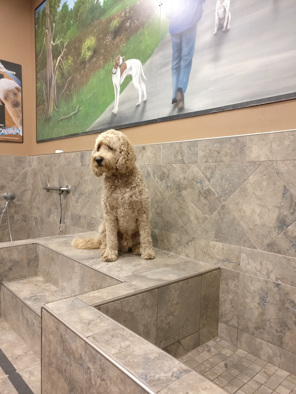 Bosleys by Pet Valu | 5263 Ladner Trunk Rd Unit D, Ladner, BC V4K 1W4, Canada | Phone: (604) 946-1211