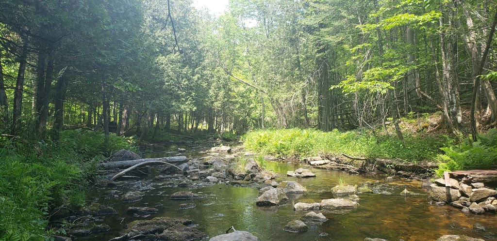 Pauls Creek Campground | 6758 McDonalds Corners Rd, McDonalds Corners, ON K0G 1M0, Canada | Phone: (613) 278-2770