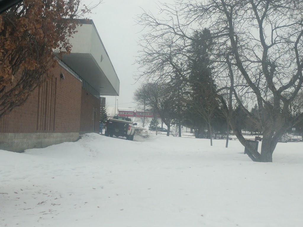 Brewer Pool | 100 Brewer Way, Ottawa, ON K1S 5T1, Canada | Phone: (613) 580-2090