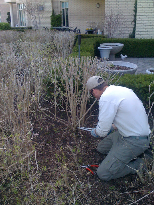 Buchanan Expert Tree Care Inc | 370 Welland Rd, Fenwick, ON L0S 1C0, Canada | Phone: (905) 892-6579