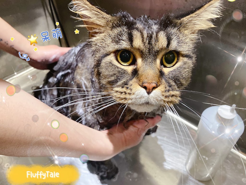 Fluffytale Pet 毛茸茸 | 2 Corby Rd Unit 3, Markham, ON L3R 8A9, Canada | Phone: (437) 345-2083