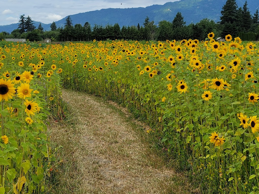 Cultus Lake Flower Fest | 4215 Wilson Rd, Chilliwack, BC V2R 5H4, Canada | Phone: (604) 798-7332