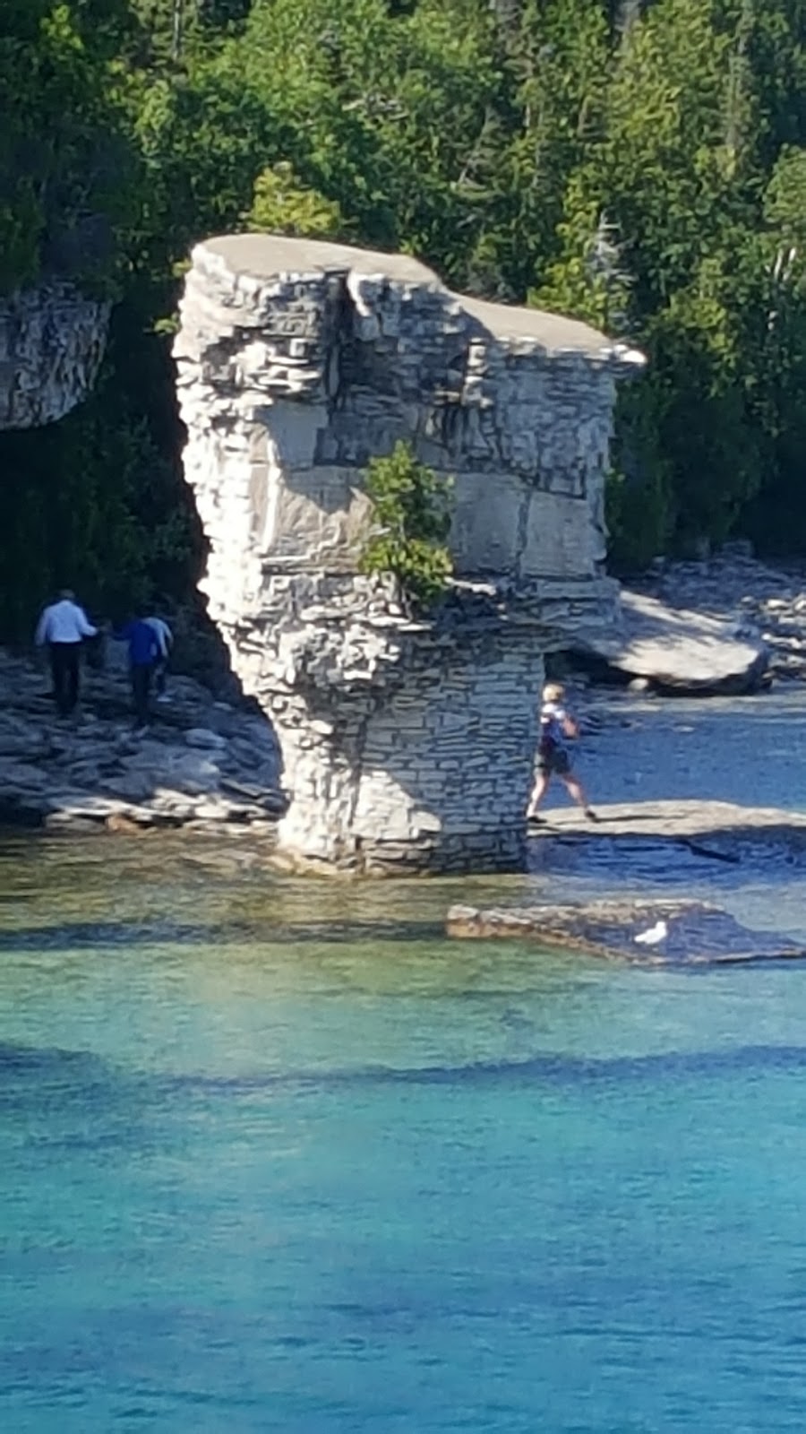 Tobermory Marine | 7032 Hwy 6, Tobermory, ON N0H 2R0, Canada | Phone: (519) 596-2654