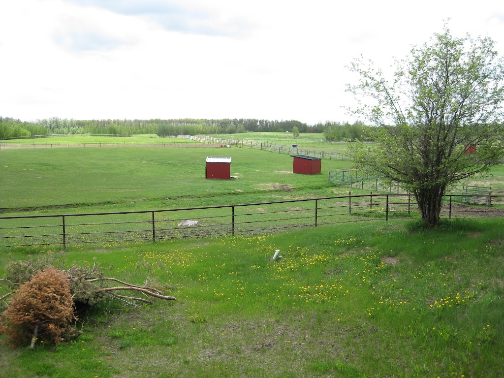 Saddle Creek Ranch Ltd | 22347 Wye Rd, Sherwood Park, AB T8C 1H7, Canada | Phone: (780) 907-9577