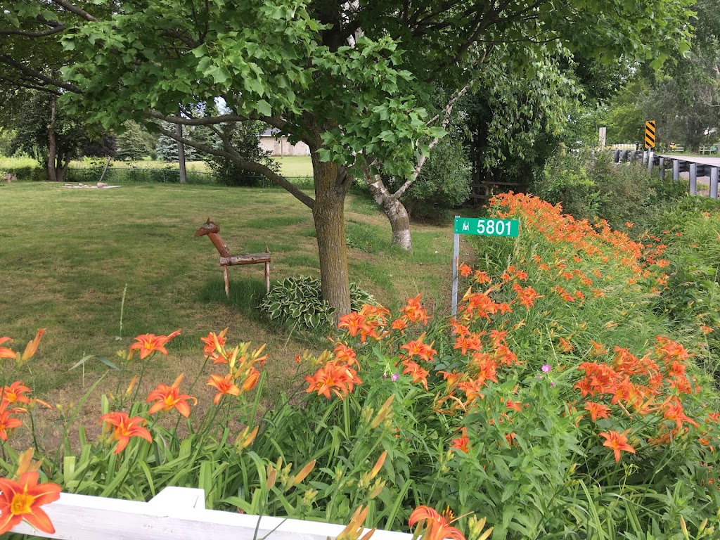 Canadian Centre for Mindful Habitats | 5801 Old Richmond Rd, Richmond, ON K0A 2Z0, Canada | Phone: (613) 617-1770