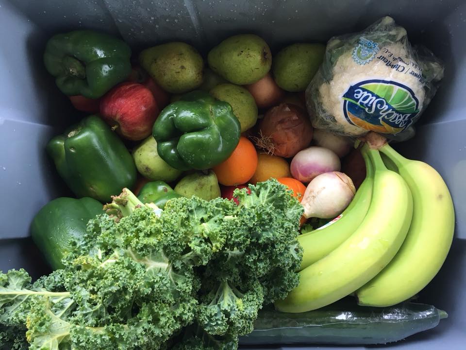 Valley Produce | 32031 Joyce Ave, Abbotsford, BC V2T 1B6, Canada | Phone: (604) 866-1859