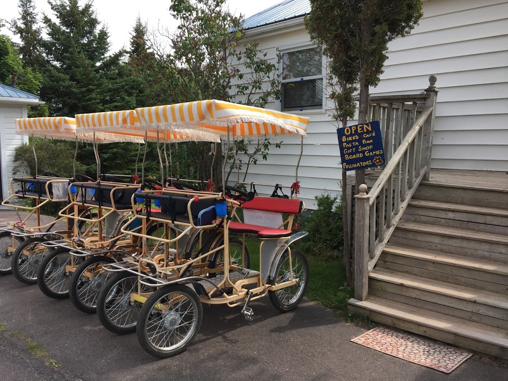 Remember Adventures | 365 Main St, Tatamagouche, NS B0K 1V0, Canada | Phone: (902) 293-1533