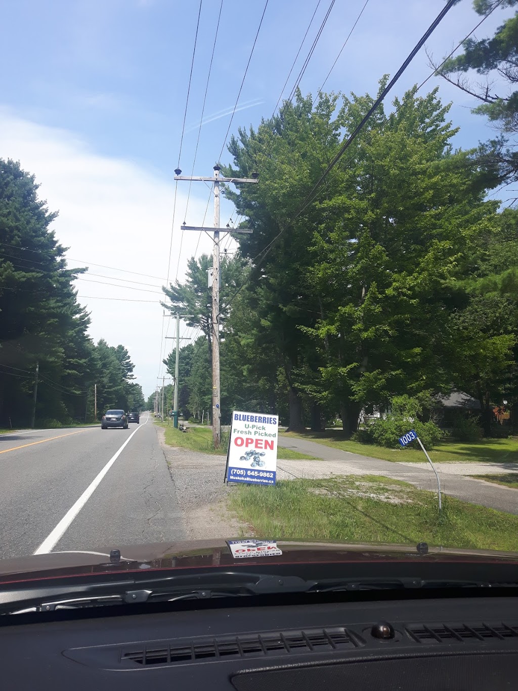 Muskoka Blueberries | 1003 Manitoba St, Bracebridge, ON P1L 1W9, Canada | Phone: (705) 645-9862