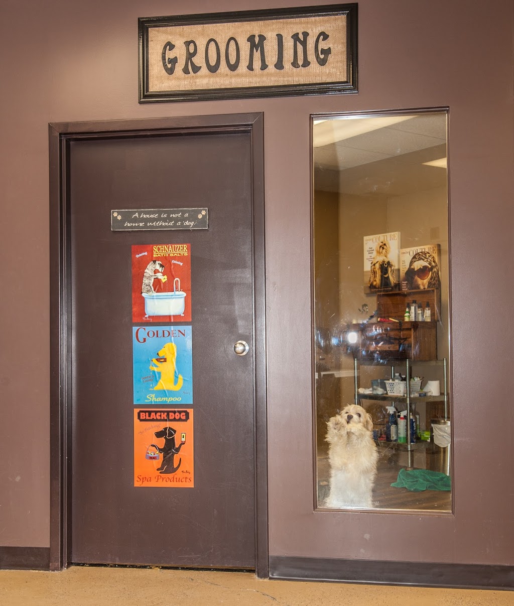 Back To The Bone Inc. | 495 Walkers Line, Burlington, ON L7N 2E3, Canada | Phone: (289) 337-4577
