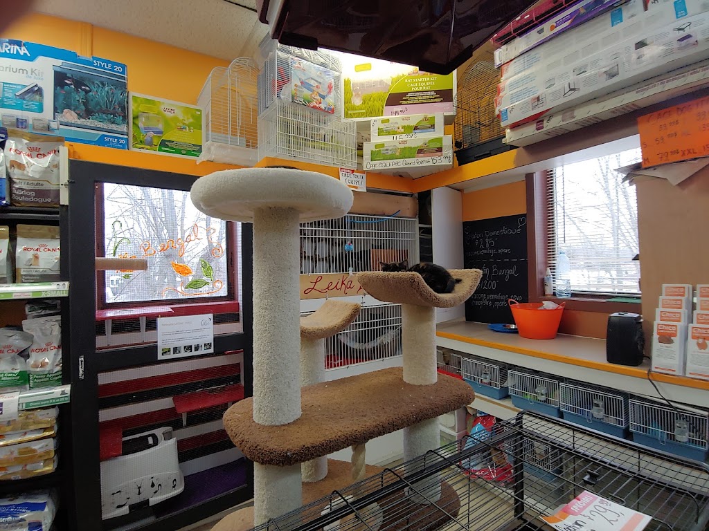 Boutique d’animaux Chico Boisbriand | 39 Chem. de la Grande-Côte, Boisbriand, QC J7G 1C8, Canada | Phone: (450) 430-8485