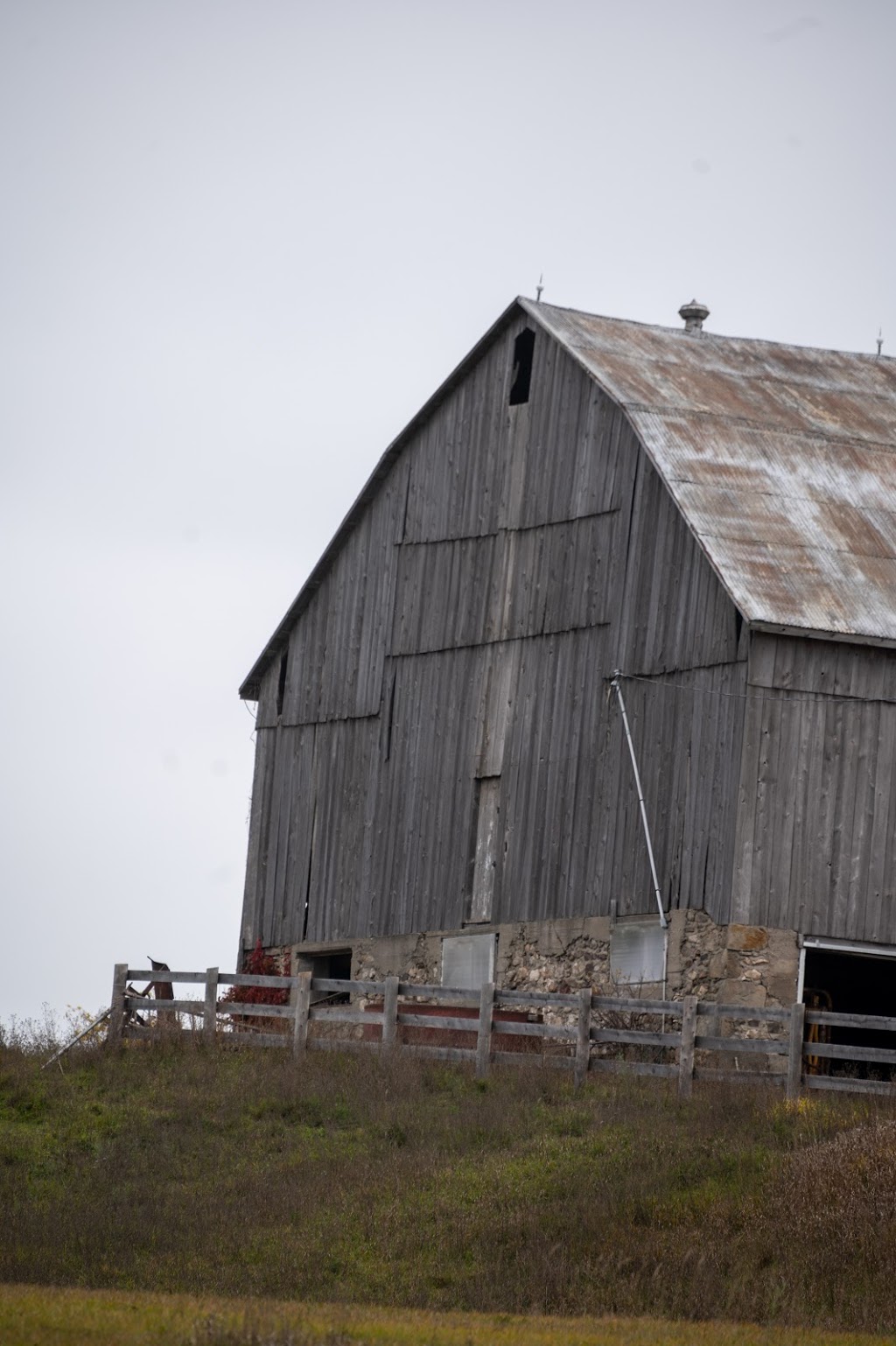 MLphotography.ca | 7 Carleton Trail, Beeton, ON L0G 1A0, Canada | Phone: (289) 307-8750