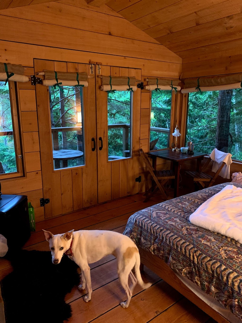 Strongwater Camping and Cabins | 6713 Egmont Rd, Egmont, BC V0N 1N0, Canada | Phone: (604) 883-1323