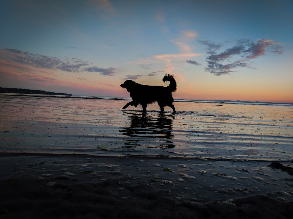 Dog Friendly Beachside Park | 15782 Marine Dr, White Rock, BC V4B 1E6, Canada