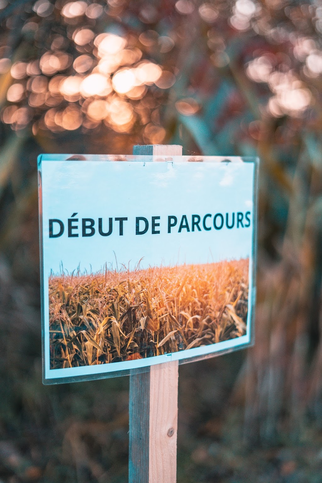Labyrinthe lentêté | 15400 Rue Charles, Mirabel, QC J7J 1Y3, Canada | Phone: (450) 434-7476