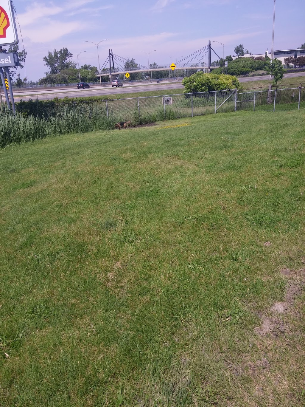 Parc récréatif canin | 450 Rue Saint-Philippe, La Prairie, QC J5R 1G9, Canada | Phone: (450) 444-6600