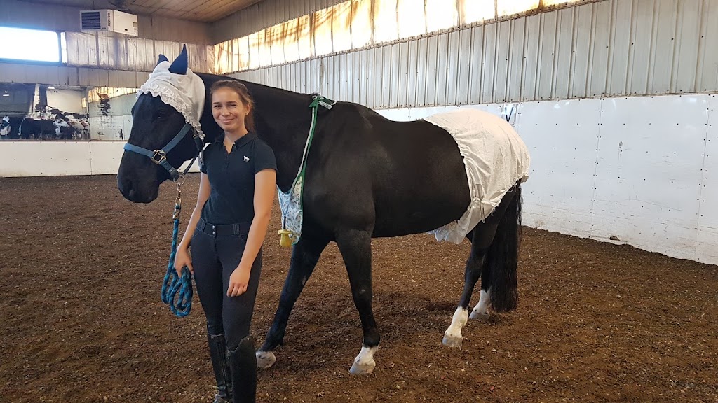 Horizon Equestrian Ctr | Range Rd 43, Cochrane, AB T4C 2J8, Canada | Phone: (403) 542-8677
