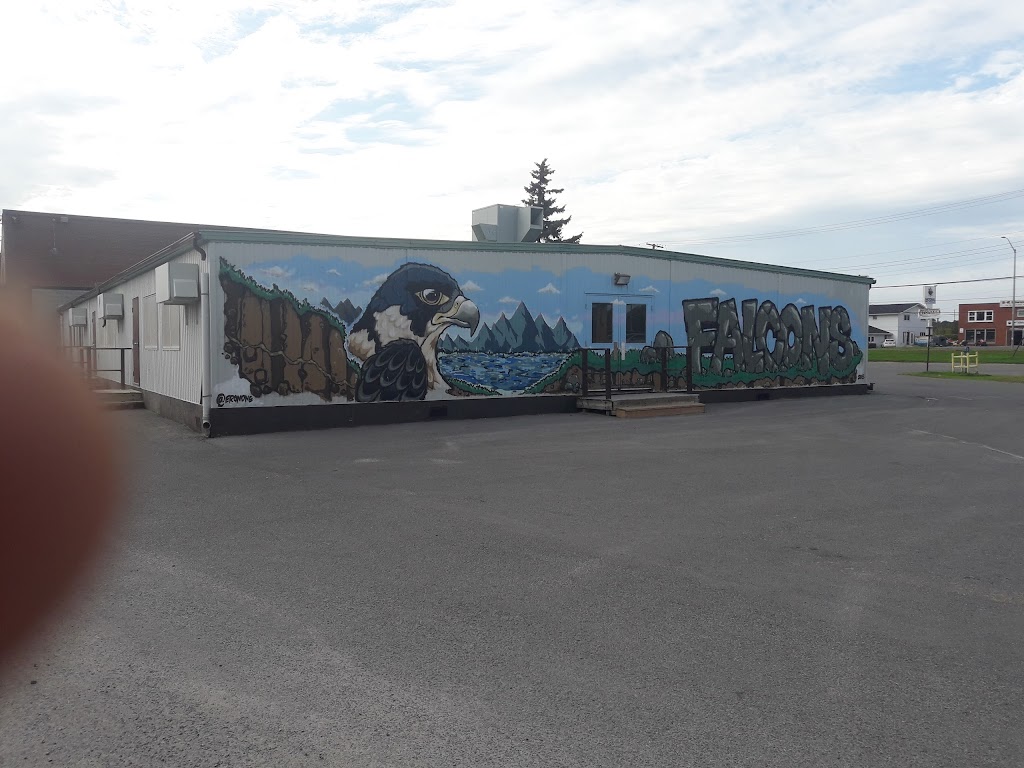 Frontenac Secondary School | 1789 Bath Rd, Kingston, ON K7M 4Y3, Canada | Phone: (613) 389-2130