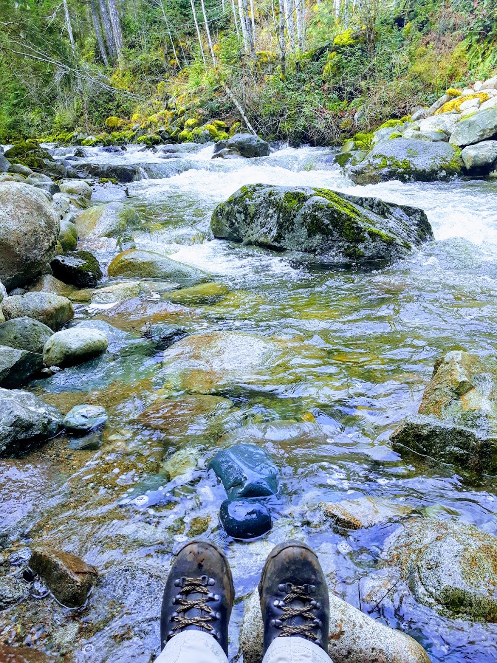 Holland Creek Trail | Heart Lake Trail, Ladysmith, BC V9G 1V4, Canada