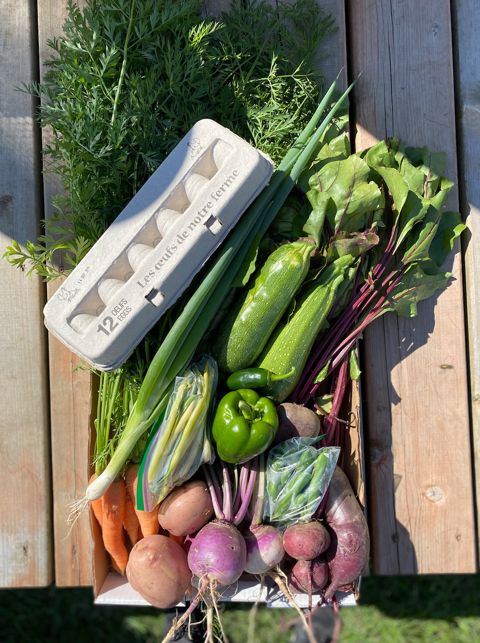 La terre aux trois pins | 9215 Chem. des Hêtres, Bécancour, QC G9H 3L5, Canada | Phone: (819) 697-8199