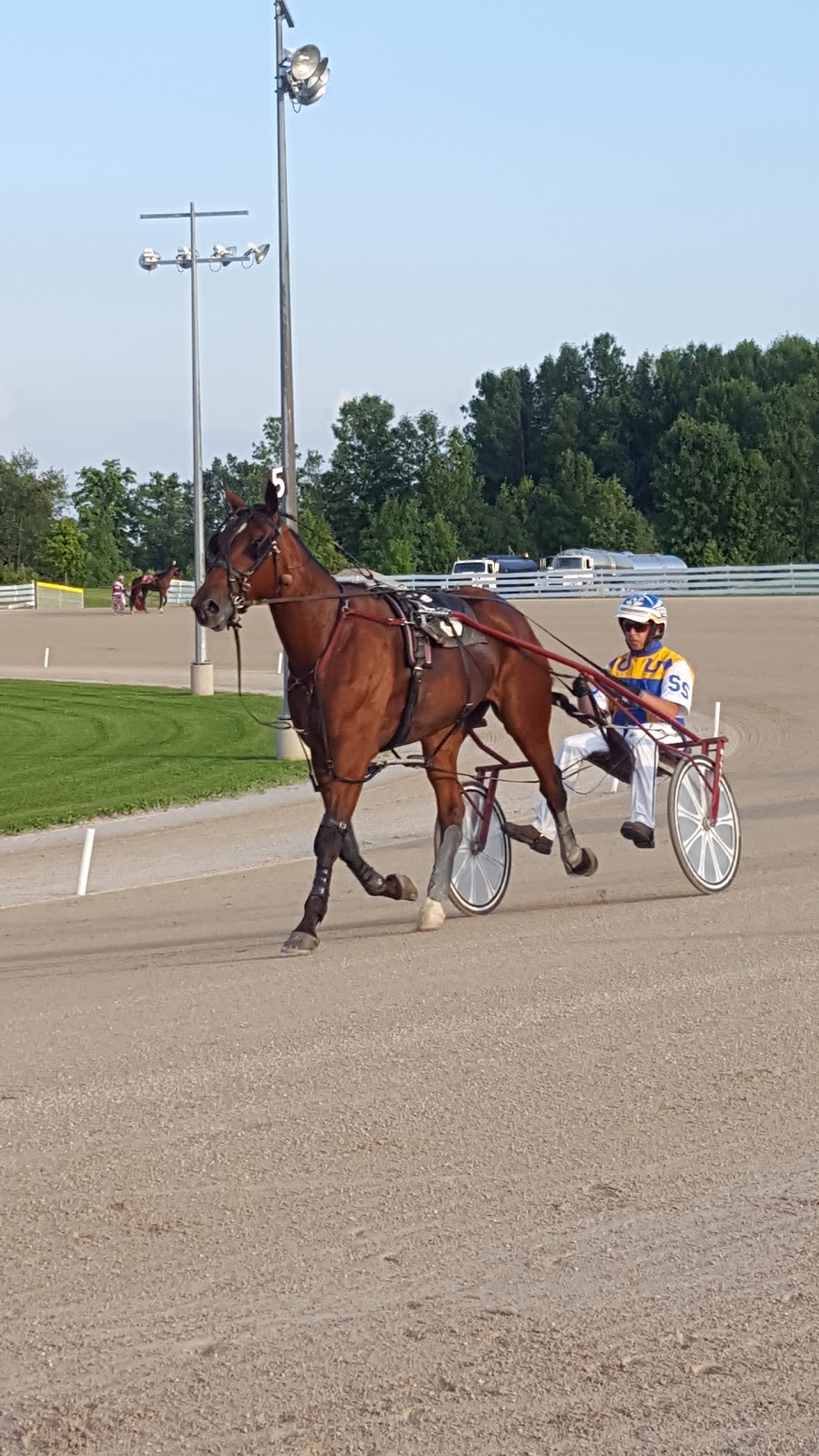 Grand River Raceway | 7445 Wellington County Rd 21, Elora, ON N0B, Canada | Phone: (519) 846-5455