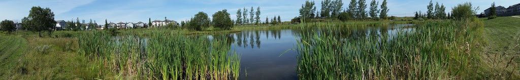 MacEwan Park | 246 Macewan Rd SW, Edmonton, AB T6W 0C5, Canada