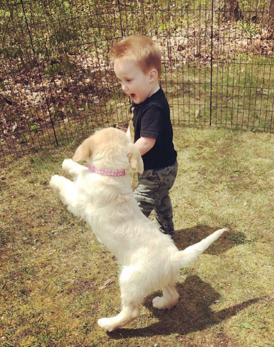 LTM Kennels | 541097 Concession 14 NDR, Chesley, ON N0G 1L0, Canada | Phone: (519) 270-3725