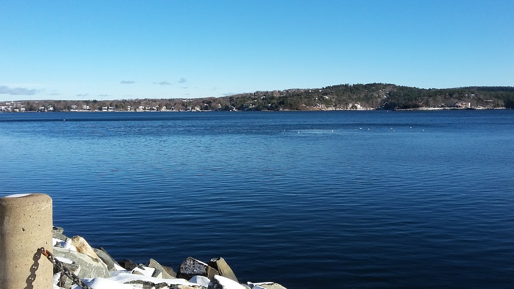Sceles Realty Ltd | 143 Hawthorne St, Antigonish, NS B2G 1B2, Canada | Phone: (902) 863-1446