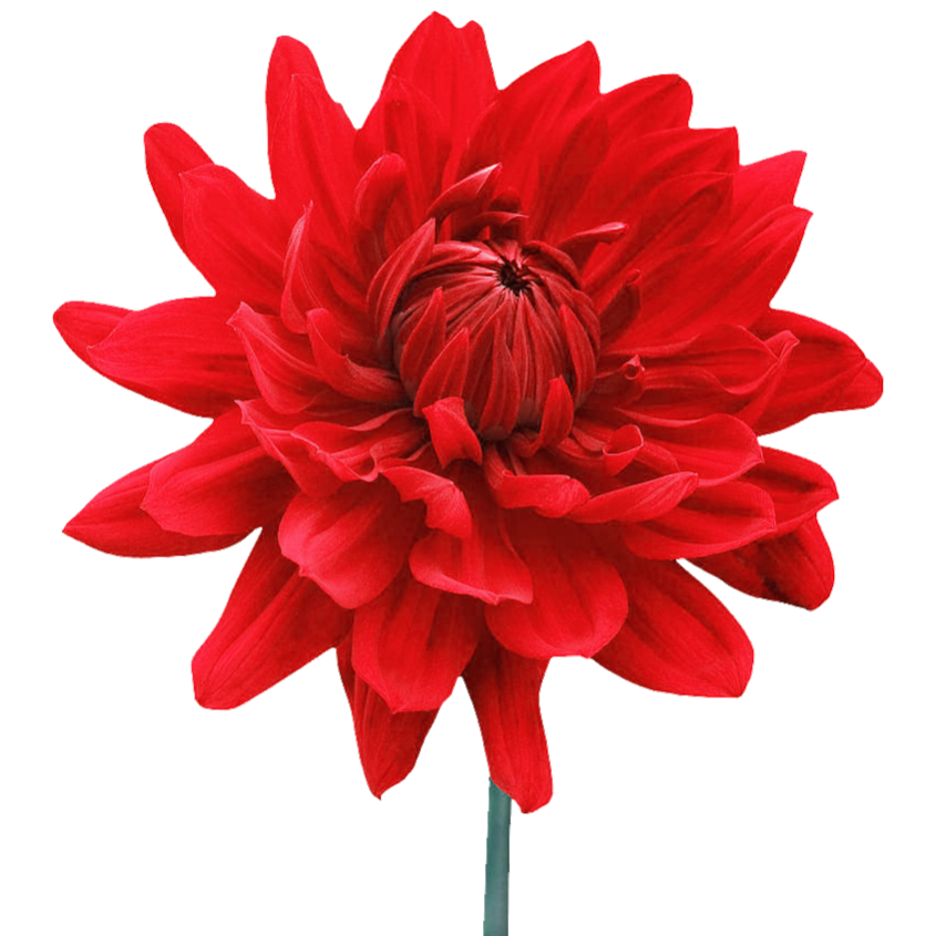 Almonte Bowen Therapy | 134 Thoburn St, Almonte, ON K0A 1A0, Canada | Phone: (613) 290-3883