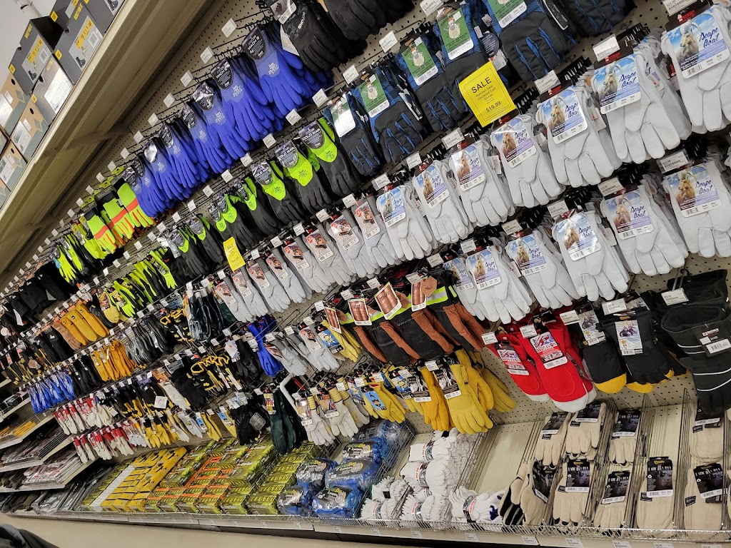 Peavey Mart | 1200 Pembroke St W, Pembroke, ON K8A 7T1, Canada | Phone: (613) 732-8974