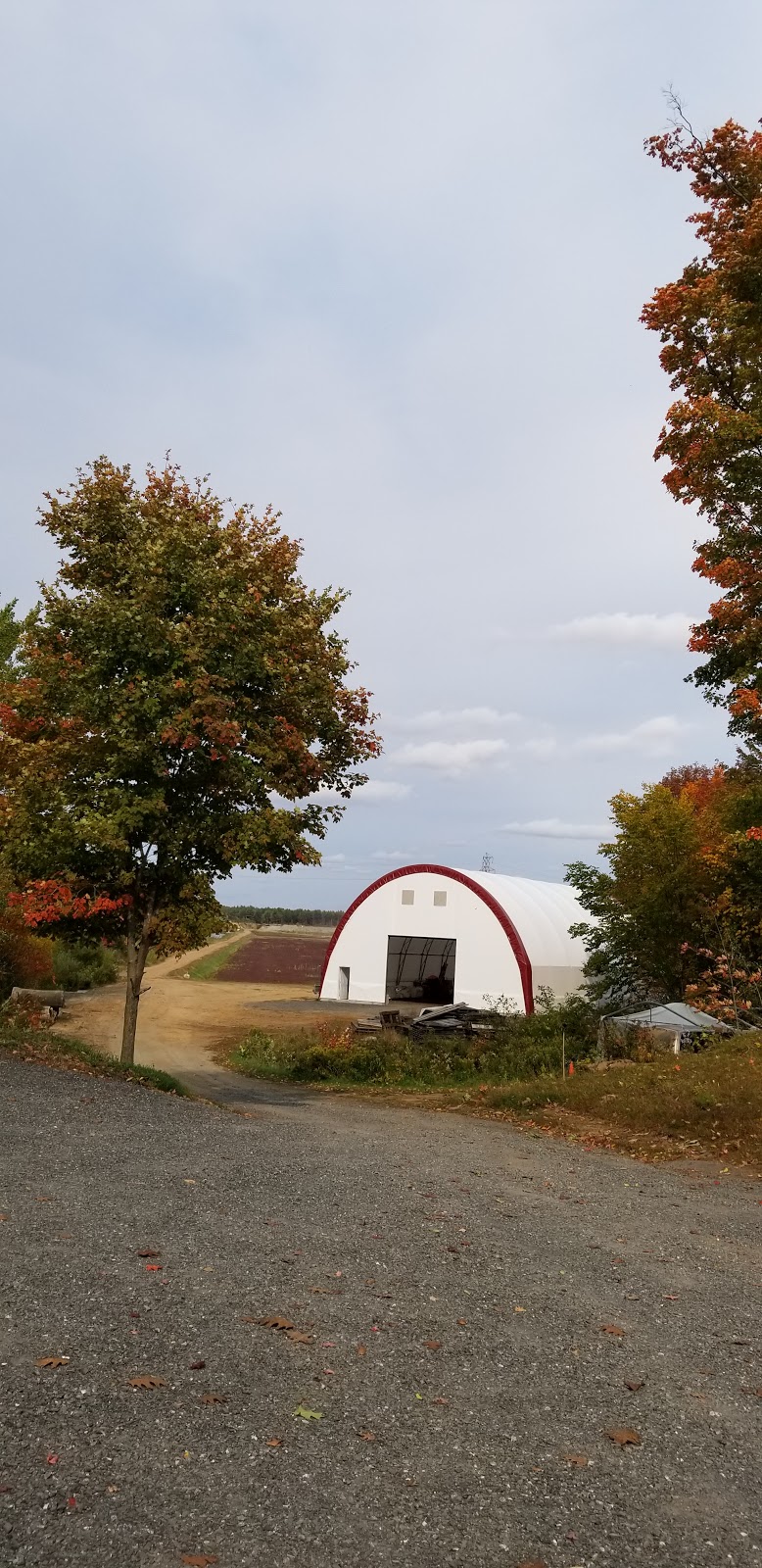 Les Jardins VMO | Culture locale de canneberge | 2400 Chem. Hemming, Drummondville, QC J2B 8Y3, Canada | Phone: (819) 475-3867