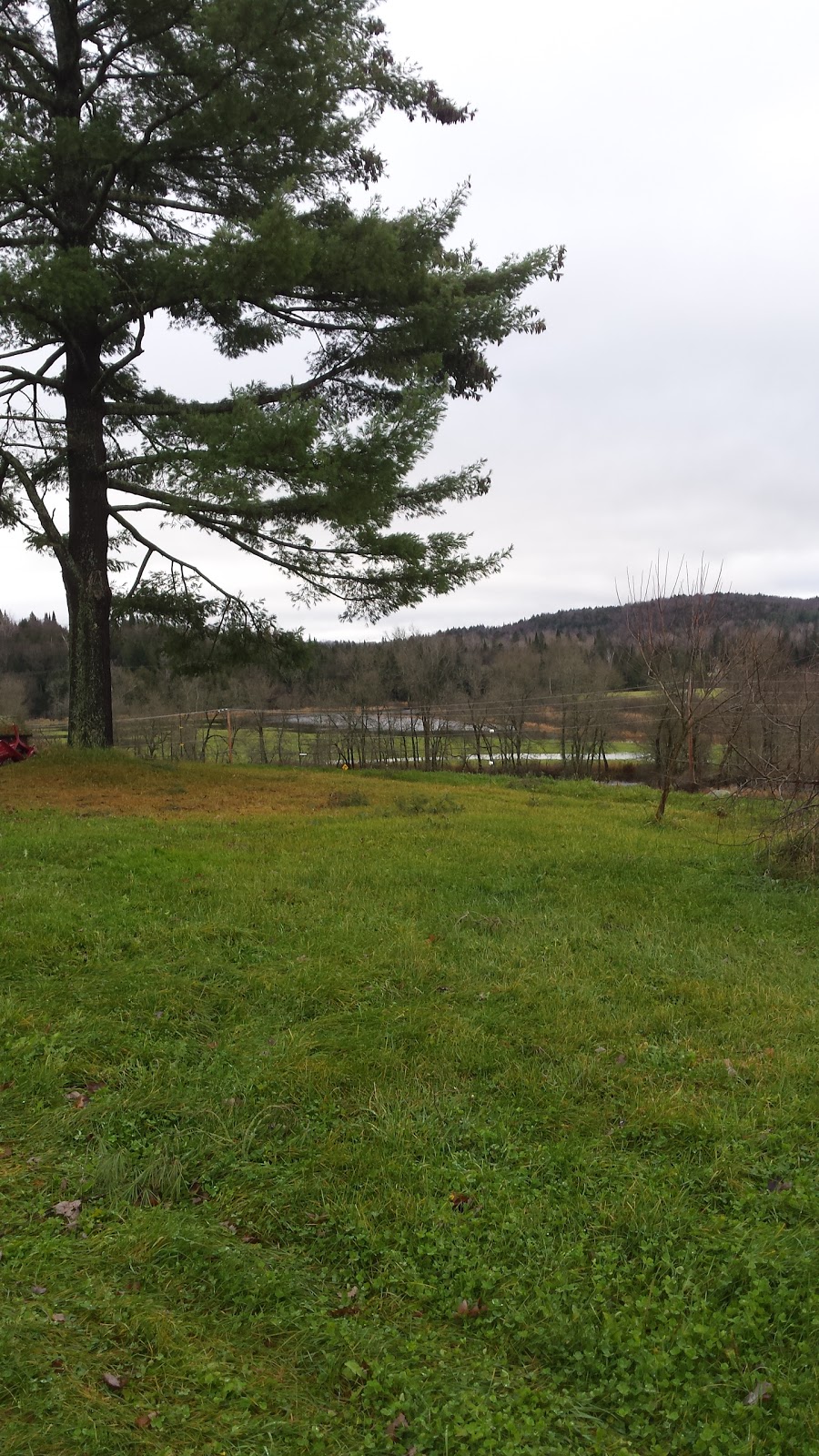 Ferme Riverview Farm | 659 Chemin de Brookdale, Boileau, QC J0V 1N0, Canada | Phone: (819) 687-3053
