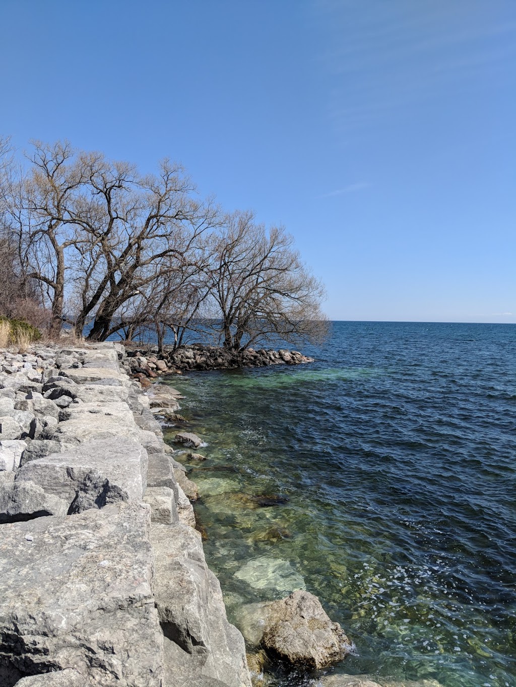 Tall Oaks Park | 44 Elmwood Ave S, Mississauga, ON L5G 4V2, Canada | Phone: (905) 615-4100