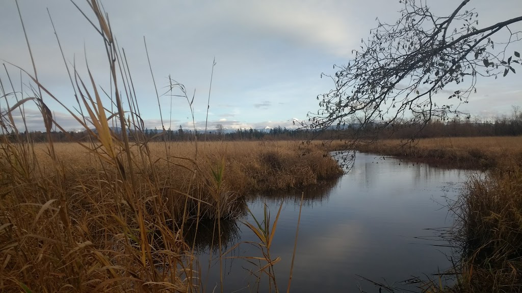 Tennant Lake Park | Ferndale, WA 98248, USA | Phone: (360) 384-4723