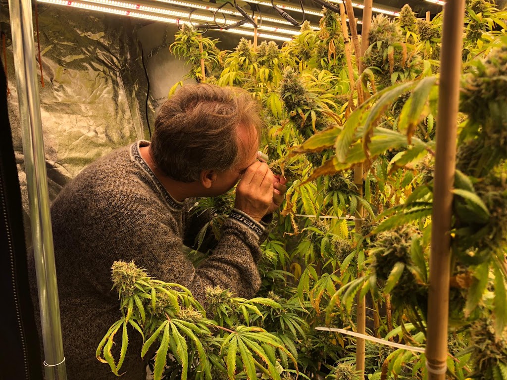 AI Grow Light | 6 Shields Ct unit #4, Markham, ON L3R 4S1, Canada | Phone: (416) 576-2766