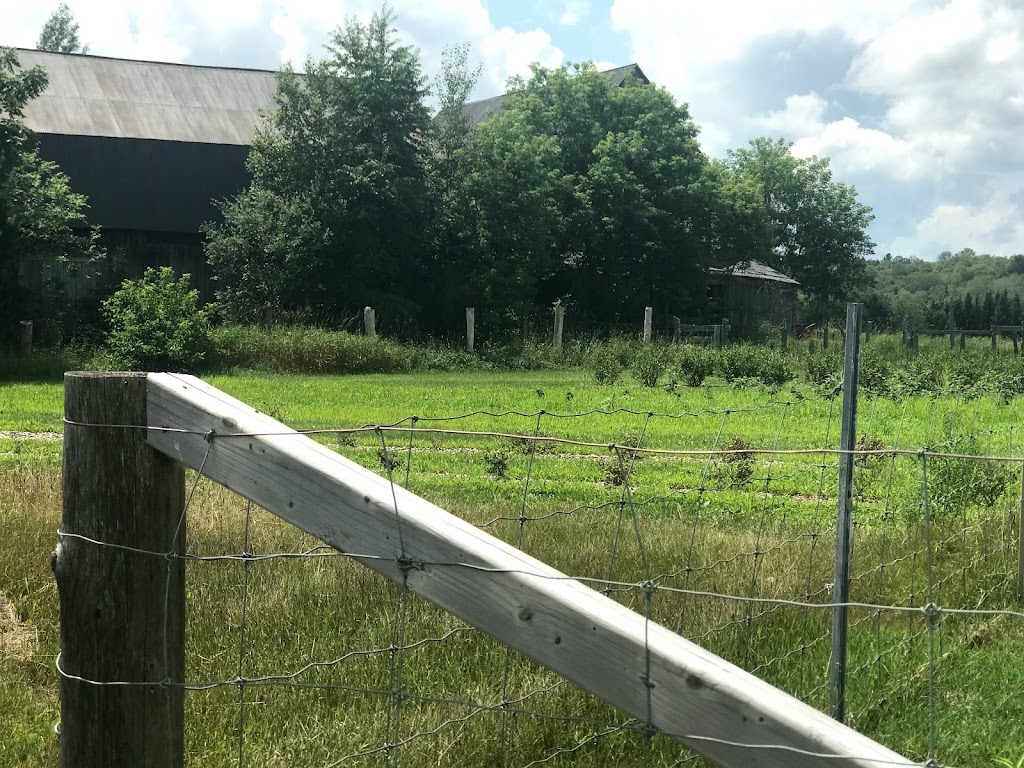 Ferme Jacques et Ginette Trépanier et fils, inc. | 440 QC-323, Papineauville, QC J0V 1R0, Canada | Phone: (819) 983-1639