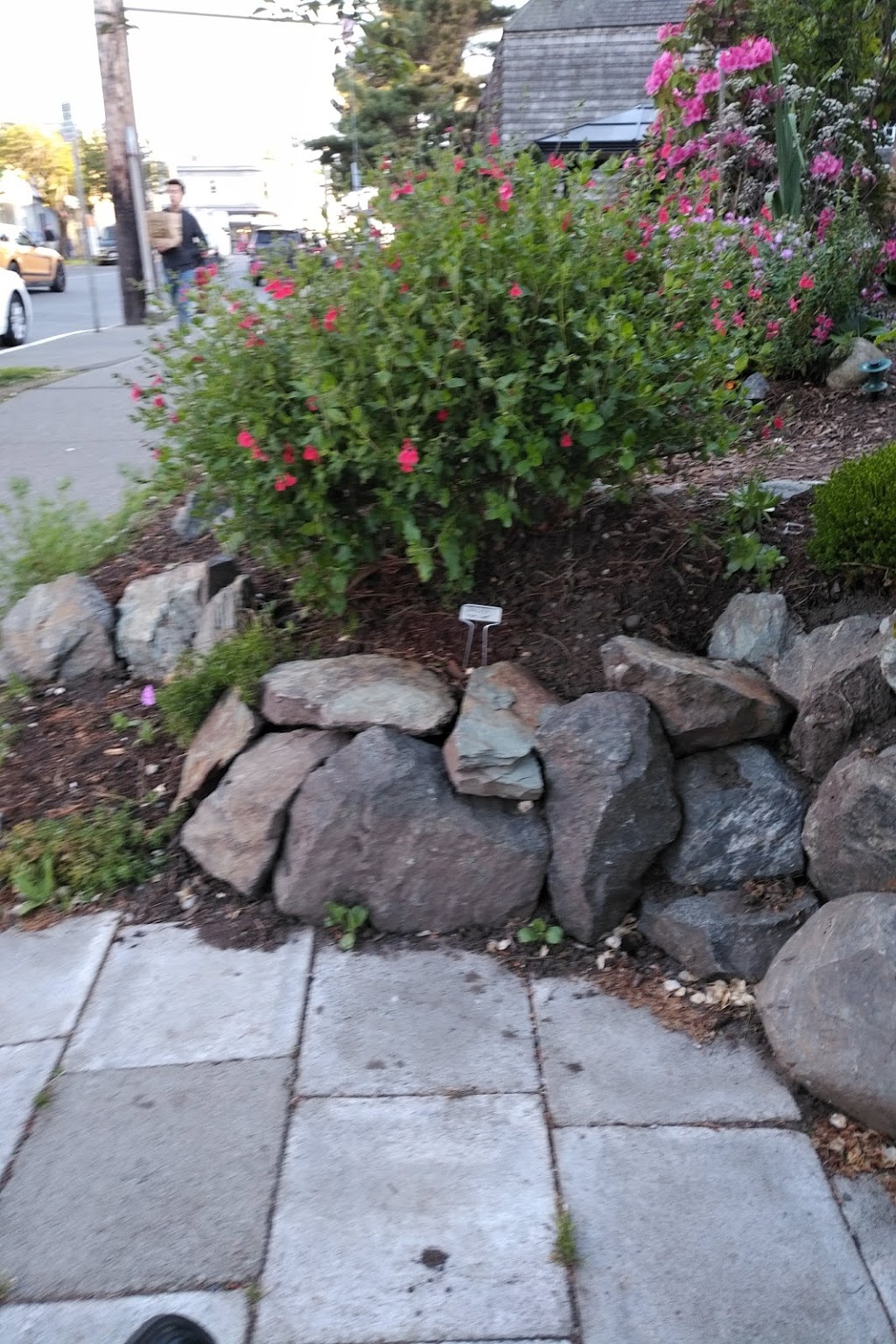 Irving Park | 265 Menzies St, Victoria, BC V8V 2G6, Canada