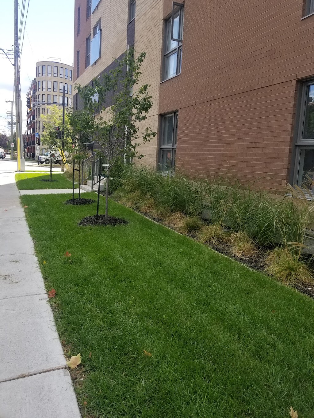 Le DeRome | 3741 Boul Henri-Bourassa E #405, Montréal-Nord, QC H1H 1J9, Canada | Phone: (438) 375-4329