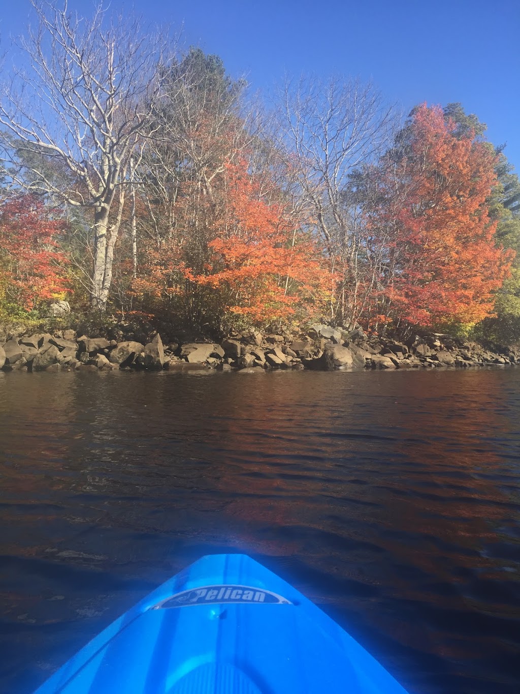 Oasis on the Mersey River | 139 Nova Scotia Trunk 8, Liverpool, NS B0T 1K0, Canada | Phone: (902) 803-0658