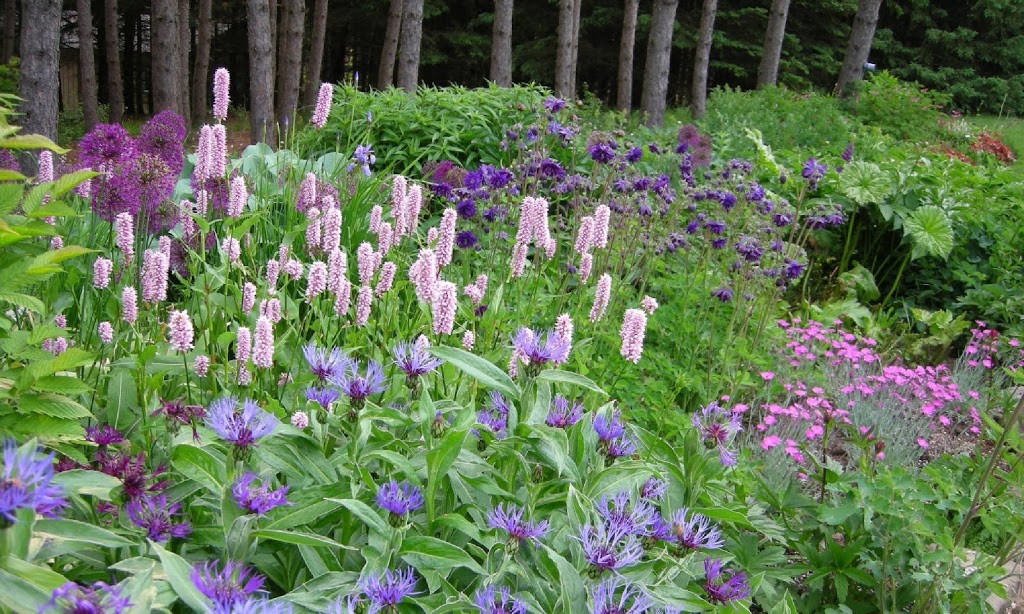 Plant Paradise Country Gardens | 16258 Humber Station Rd, Caledon East, ON L7E 0Y9, Canada | Phone: (905) 880-9090