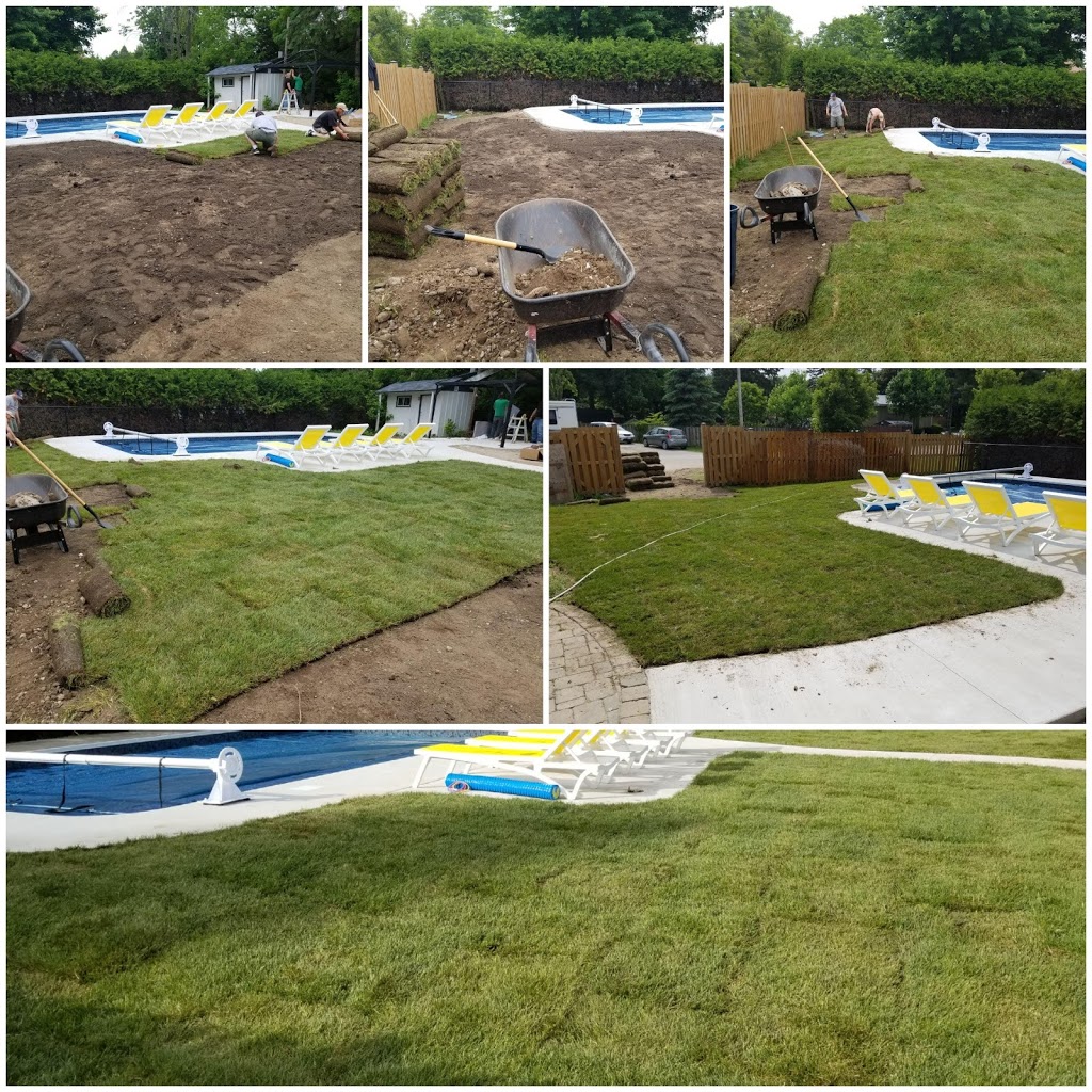 BZ Lawn Care & Property Maintenance | 259 James St E, Orillia, ON L3V 1M3, Canada | Phone: (705) 345-4454