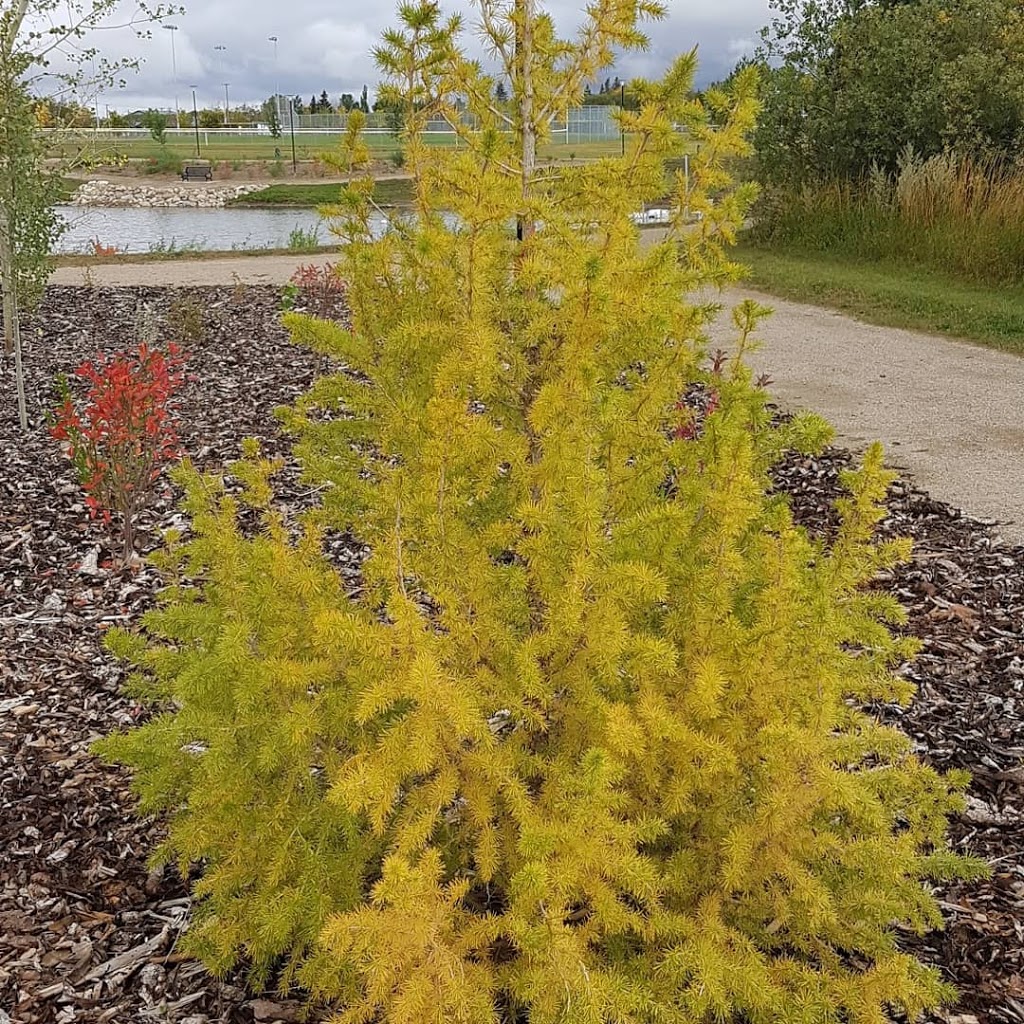 Prairie Oasis Park | S Railway St, Warman, SK S0K 0A1, Canada | Phone: (306) 933-2210